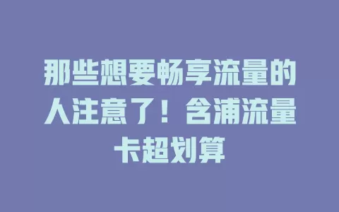 那些想要畅享流量的人注意了！含浦流量卡超划算