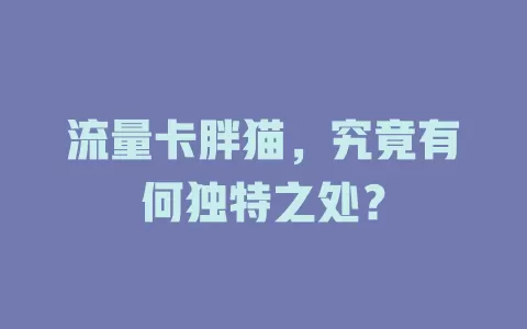 流量卡胖猫，究竟有何独特之处？