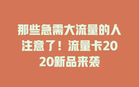 那些急需大流量的人注意了！流量卡2020新品来袭