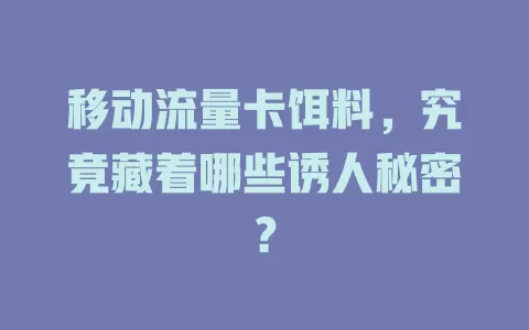 移动流量卡饵料，究竟藏着哪些诱人秘密？