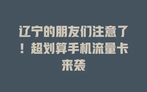 辽宁的朋友们注意了！超划算手机流量卡来袭