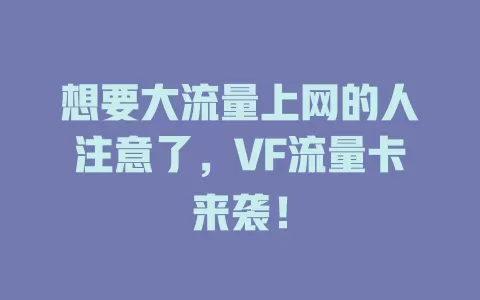 想要大流量上网的人注意了，VF流量卡来袭！