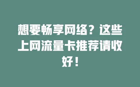 想要畅享网络？这些上网流量卡推荐请收好！