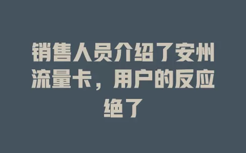 销售人员介绍了安州流量卡，用户的反应绝了