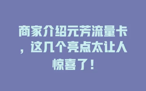 商家介绍元芳流量卡，这几个亮点太让人惊喜了！