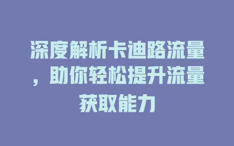 深度解析卡迪路流量，助你轻松提升流量获取能力