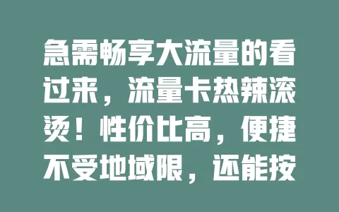 急需畅享大流量的看过来，流量卡热辣滚烫！性价比高，便捷不受地域限，还能按需选套餐。选时别盲目，了解优势结合习惯挑，尽享便捷实惠添精彩