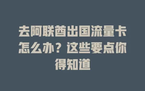 去阿联酋出国流量卡怎么办？这些要点你得知道