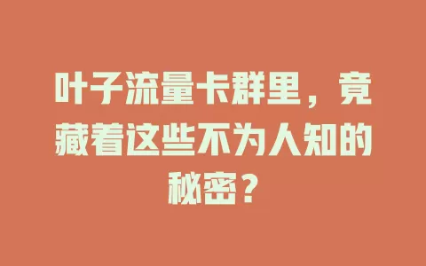 叶子流量卡群里，竟藏着这些不为人知的秘密？
