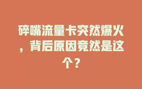 碎嘴流量卡突然爆火，背后原因竟然是这个？