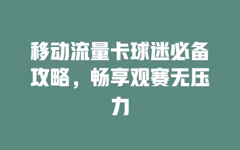 移动流量卡球迷必备攻略，畅享观赛无压力