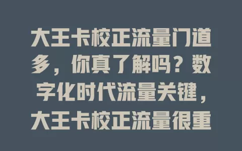 大王卡校正流量门道多，你真了解吗？数字化时代流量关键，大王卡校正流量很重要，关乎成本体验安全，了解相关知识，让流量使用更随心