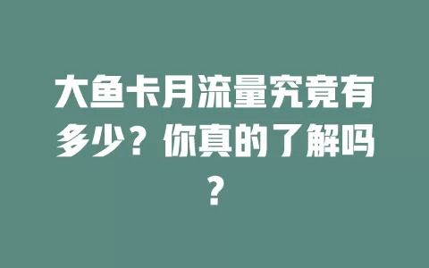 大鱼卡月流量究竟有多少？你真的了解吗？