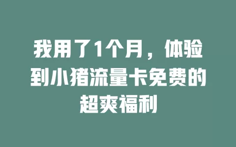 我用了1个月，体验到小猪流量卡免费的超爽福利