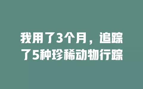 我用了3个月，追踪了5种珍稀动物行踪