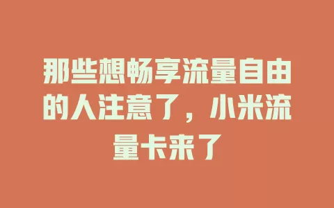 那些想畅享流量自由的人注意了，小米流量卡来了