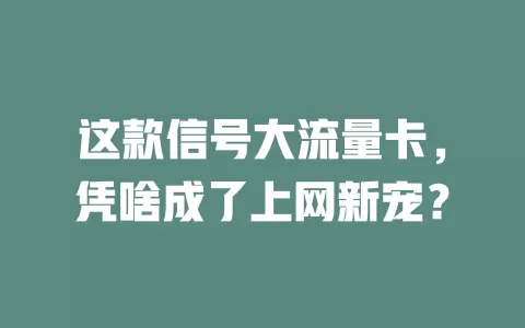 这款信号大流量卡，凭啥成了上网新宠？