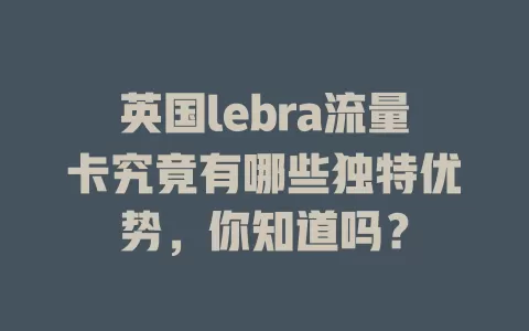 英国lebra流量卡究竟有哪些独特优势，你知道吗？