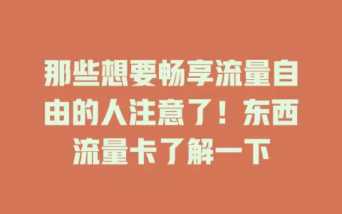 那些想要畅享流量自由的人注意了！东西流量卡了解一下