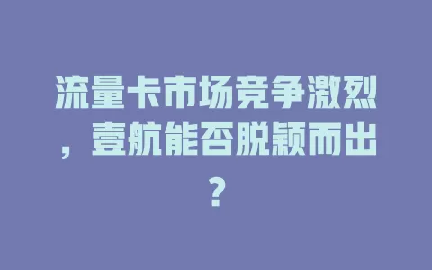 流量卡市场竞争激烈，壹航能否脱颖而出？