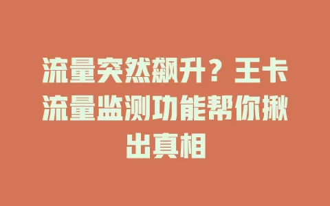 流量突然飙升？王卡流量监测功能帮你揪出真相