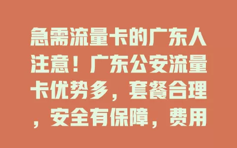 急需流量卡的广东人注意！广东公安流量卡优势多，套餐合理，安全有保障，费用亲民，助你畅享网络