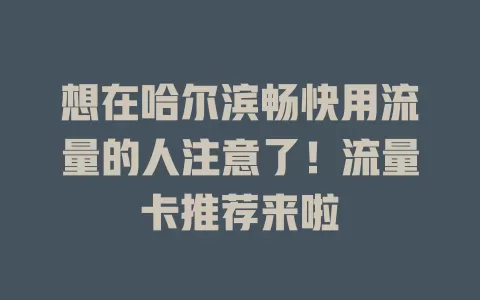 想在哈尔滨畅快用流量的人注意了！流量卡推荐来啦