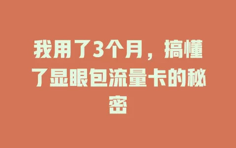 我用了3个月，搞懂了显眼包流量卡的秘密