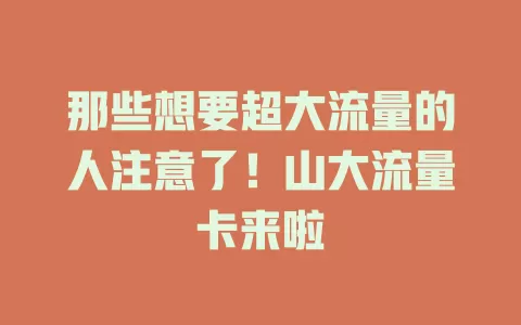 那些想要超大流量的人注意了！山大流量卡来啦