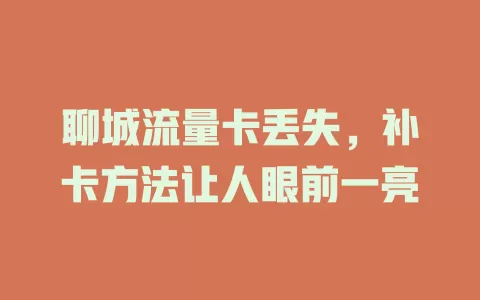 聊城流量卡丢失，补卡方法让人眼前一亮