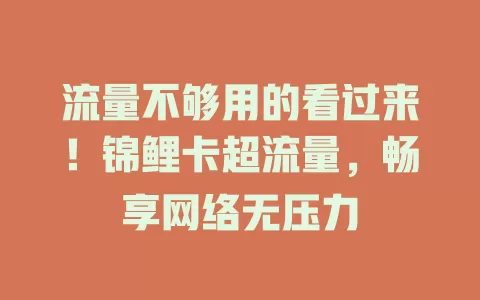 流量不够用的看过来！锦鲤卡超流量，畅享网络无压力