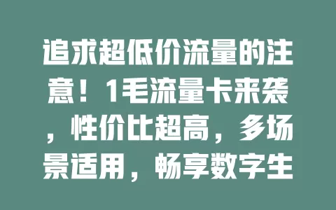 追求超低价流量的注意！1毛流量卡来袭，性价比超高，多场景适用，畅享数字生活