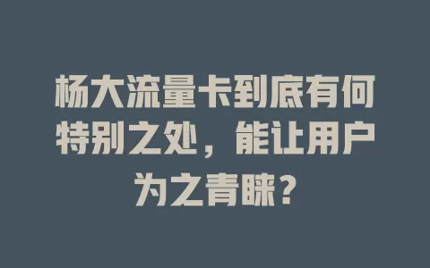 杨大流量卡到底有何特别之处，能让用户为之青睐？