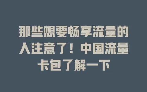 那些想要畅享流量的人注意了！中国流量卡包了解一下