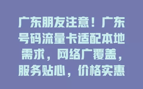 广东朋友注意！广东号码流量卡适配本地需求，网络广覆盖，服务贴心，价格实惠，是网络生活保障