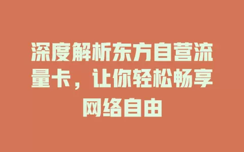 深度解析东方自营流量卡，让你轻松畅享网络自由