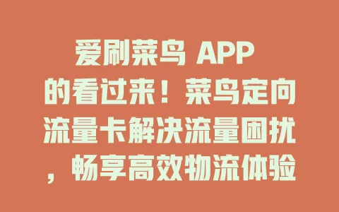 爱刷菜鸟 APP 的看过来！菜鸟定向流量卡解决流量困扰，畅享高效物流体验