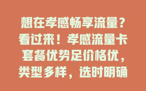 想在孝感畅享流量？看过来！孝感流量卡套餐优势足价格优，类型多样，选时明确习惯，对比考量，就能畅快享受网络生活