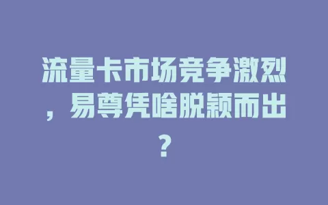 流量卡市场竞争激烈，易尊凭啥脱颖而出？