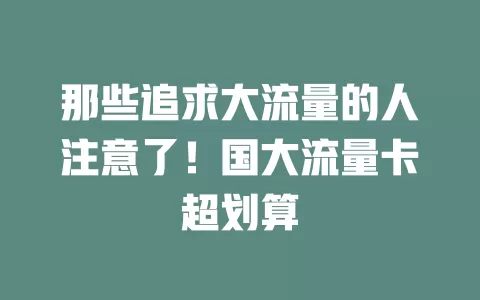那些追求大流量的人注意了！国大流量卡超划算