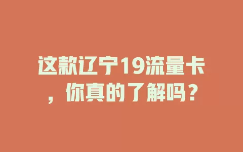 这款辽宁19流量卡，你真的了解吗？