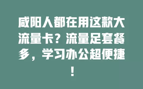 咸阳人都在用这款大流量卡？流量足套餐多，学习办公超便捷！