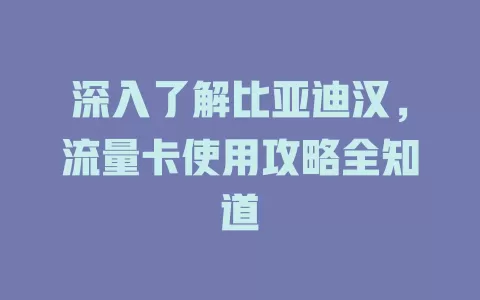 深入了解比亚迪汉，流量卡使用攻略全知道