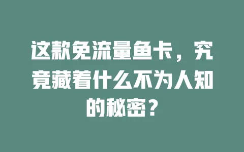 这款免流量鱼卡，究竟藏着什么不为人知的秘密？