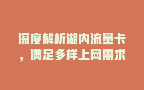 深度解析湖内流量卡，满足多样上网需求