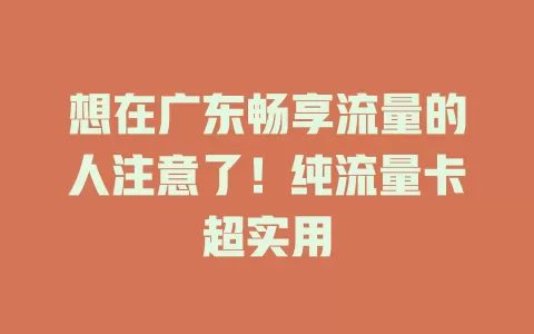 想在广东畅享流量的人注意了！纯流量卡超实用