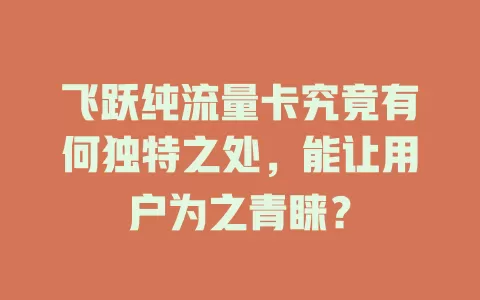 飞跃纯流量卡究竟有何独特之处，能让用户为之青睐？
