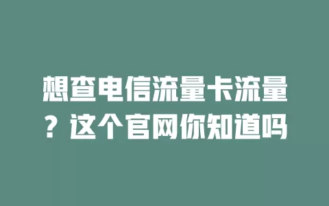 想查电信流量卡流量？这个官网你知道吗
