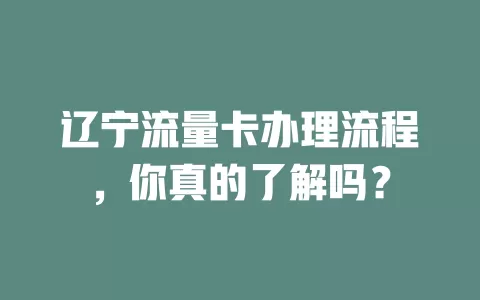 辽宁流量卡办理流程，你真的了解吗？
