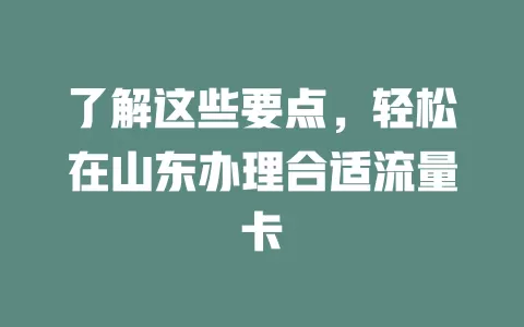 了解这些要点，轻松在山东办理合适流量卡
